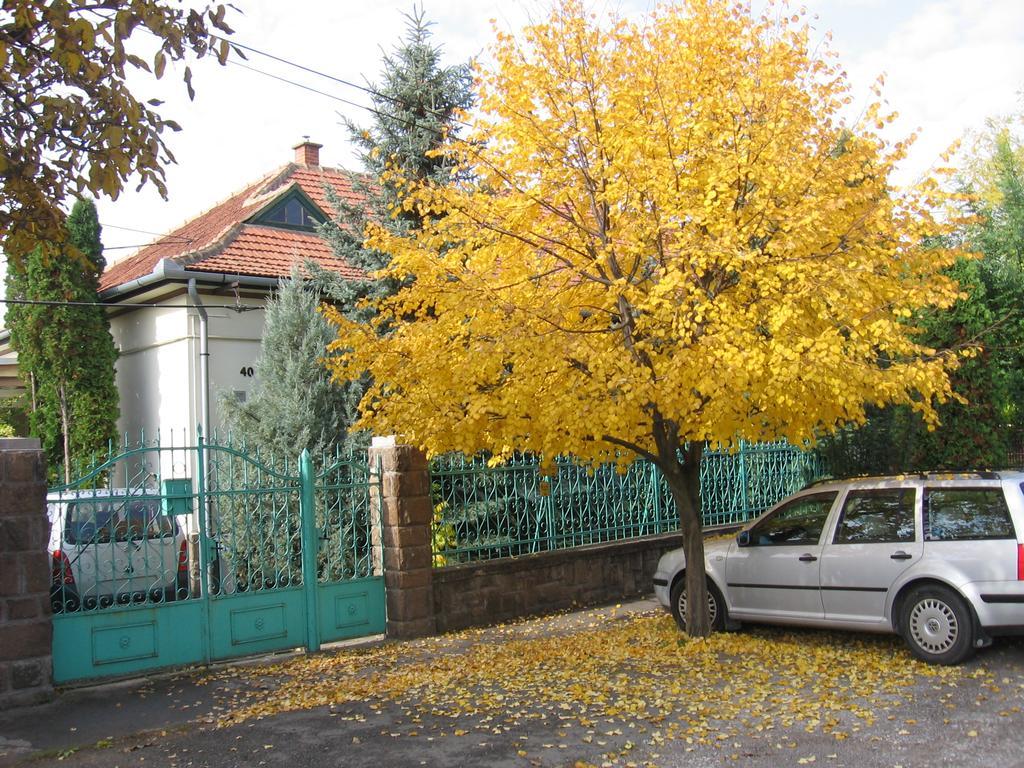 Ferienwohnung Csaladi Vendeghaz Erlau Exterior foto